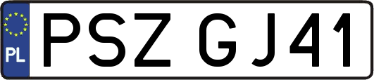 PSZGJ41