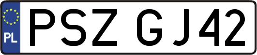 PSZGJ42