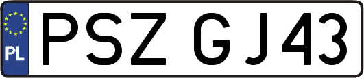 PSZGJ43
