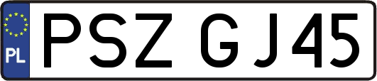 PSZGJ45