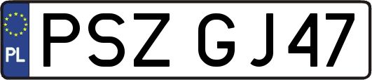 PSZGJ47