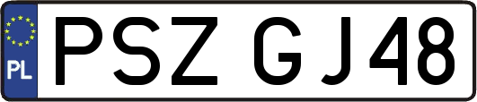 PSZGJ48
