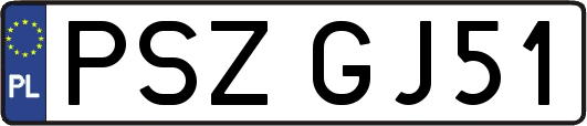 PSZGJ51