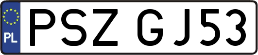 PSZGJ53