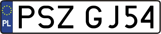 PSZGJ54