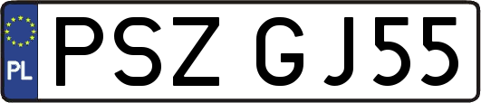 PSZGJ55