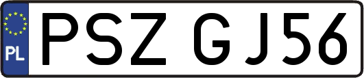 PSZGJ56