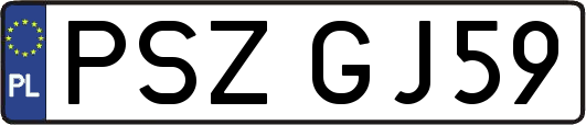 PSZGJ59