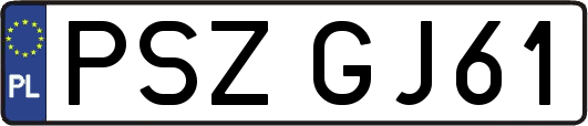 PSZGJ61