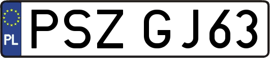 PSZGJ63