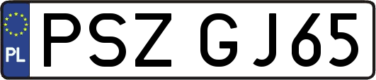 PSZGJ65
