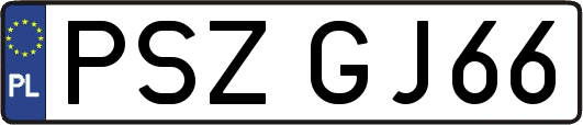 PSZGJ66