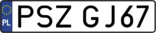 PSZGJ67