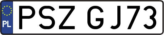PSZGJ73