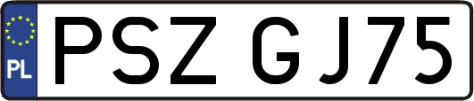 PSZGJ75