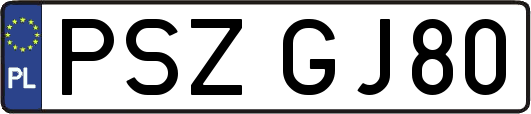 PSZGJ80