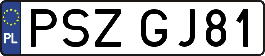 PSZGJ81