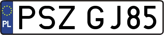 PSZGJ85