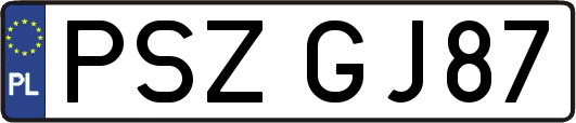 PSZGJ87