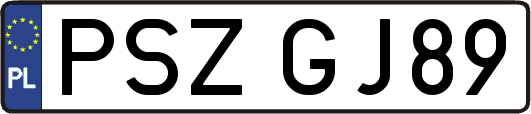 PSZGJ89