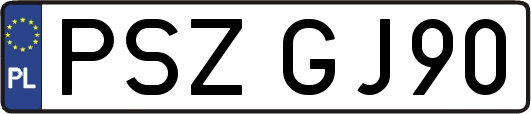 PSZGJ90