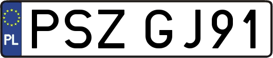 PSZGJ91