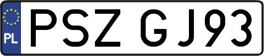 PSZGJ93