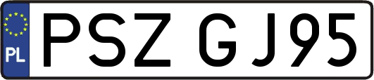 PSZGJ95