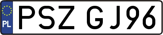 PSZGJ96