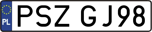 PSZGJ98