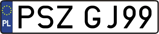 PSZGJ99