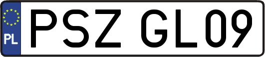 PSZGL09
