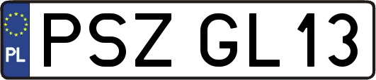 PSZGL13