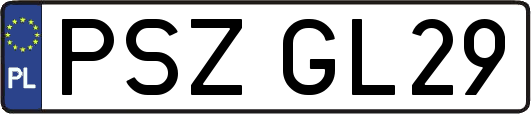 PSZGL29
