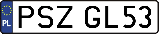 PSZGL53