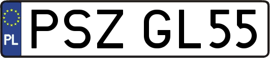 PSZGL55