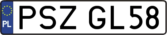 PSZGL58