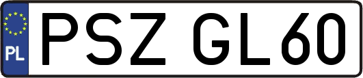 PSZGL60
