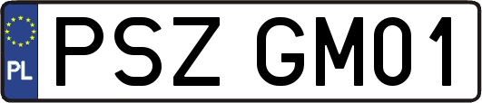 PSZGM01