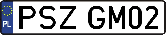 PSZGM02