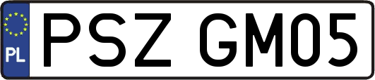 PSZGM05