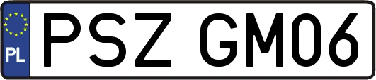 PSZGM06