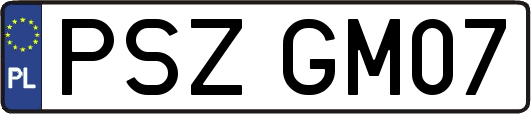 PSZGM07