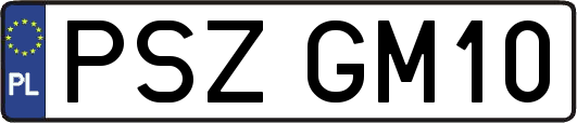 PSZGM10