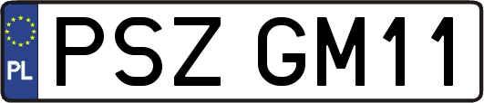 PSZGM11