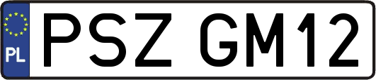 PSZGM12