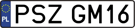 PSZGM16