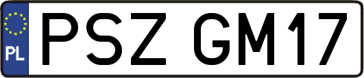 PSZGM17