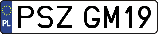 PSZGM19