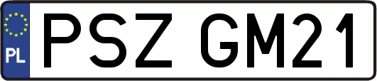 PSZGM21